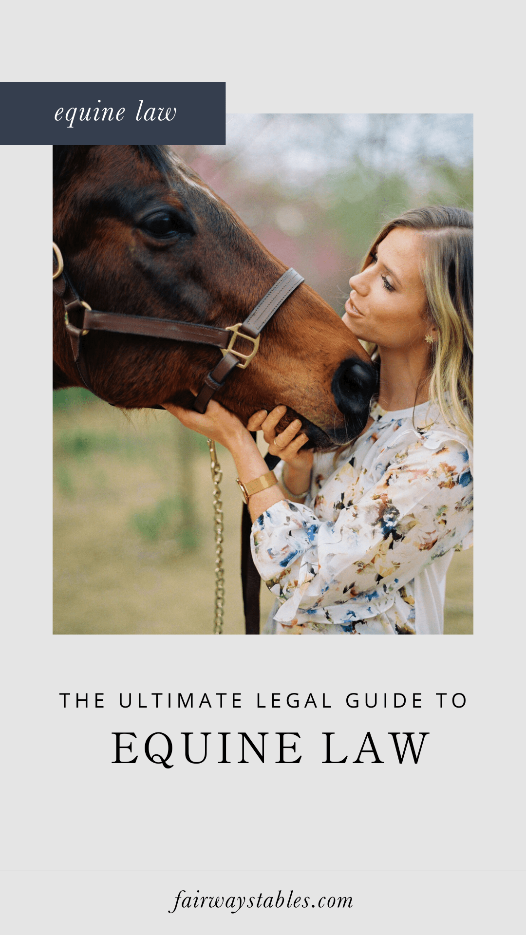 The Ultimate Guide To Equine Law
