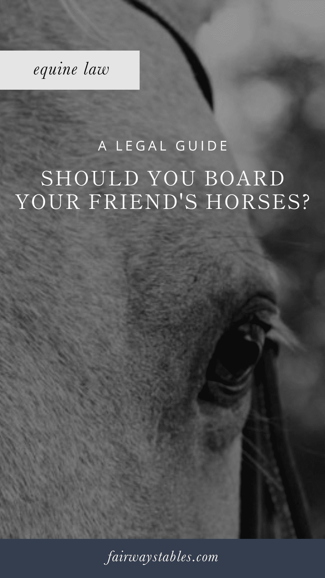 boarding your friends horses legally