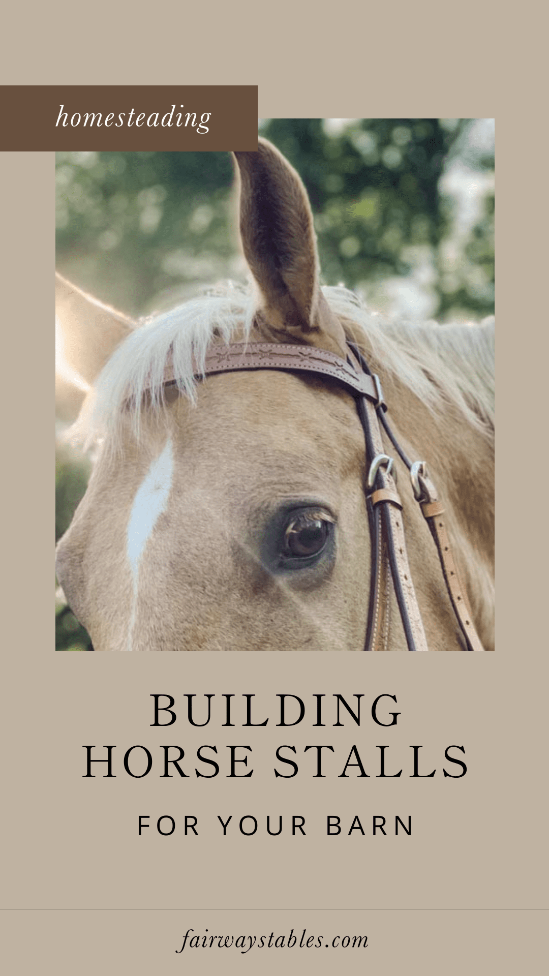 building horse stalls for your barn fairwaystables.com