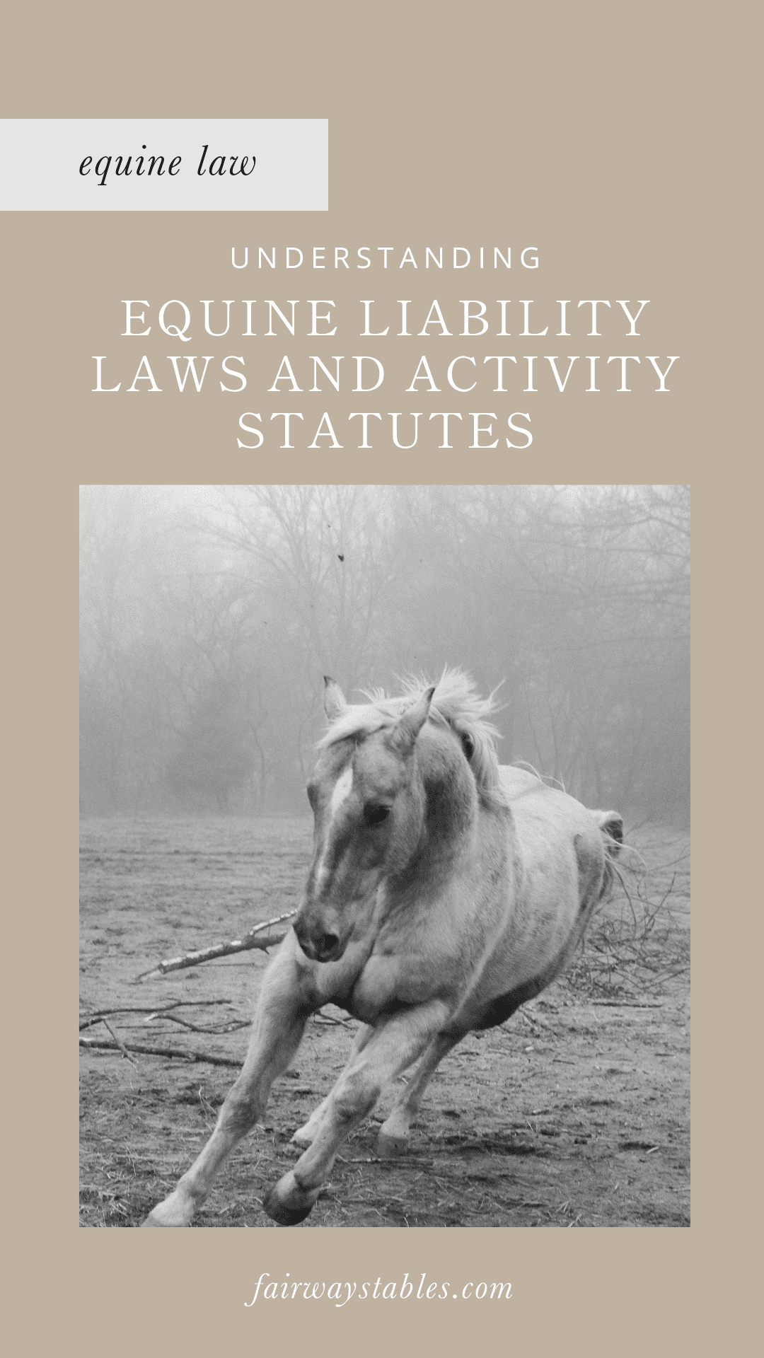 equine liability laws