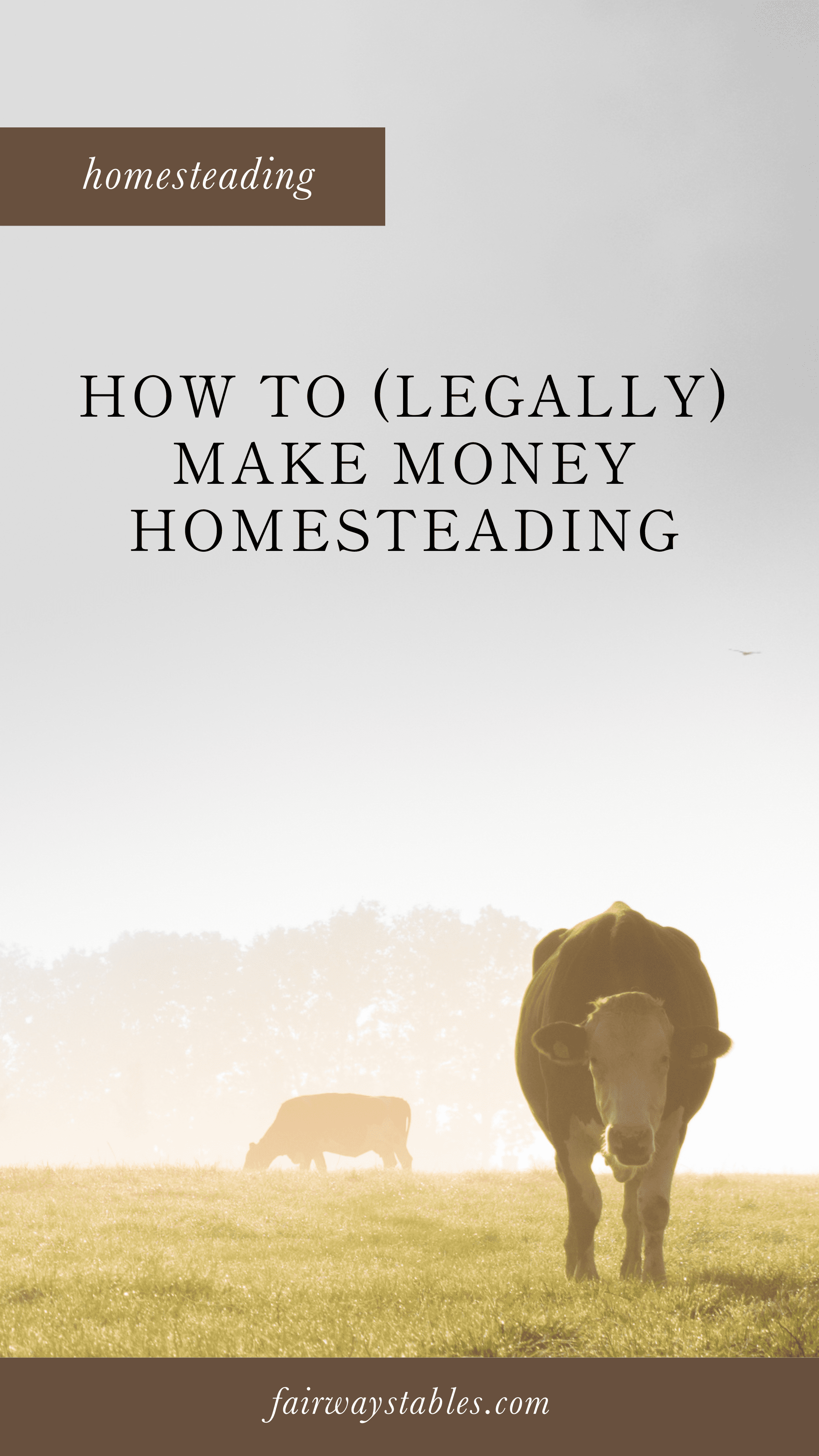How To Legally Make Money Homesteading