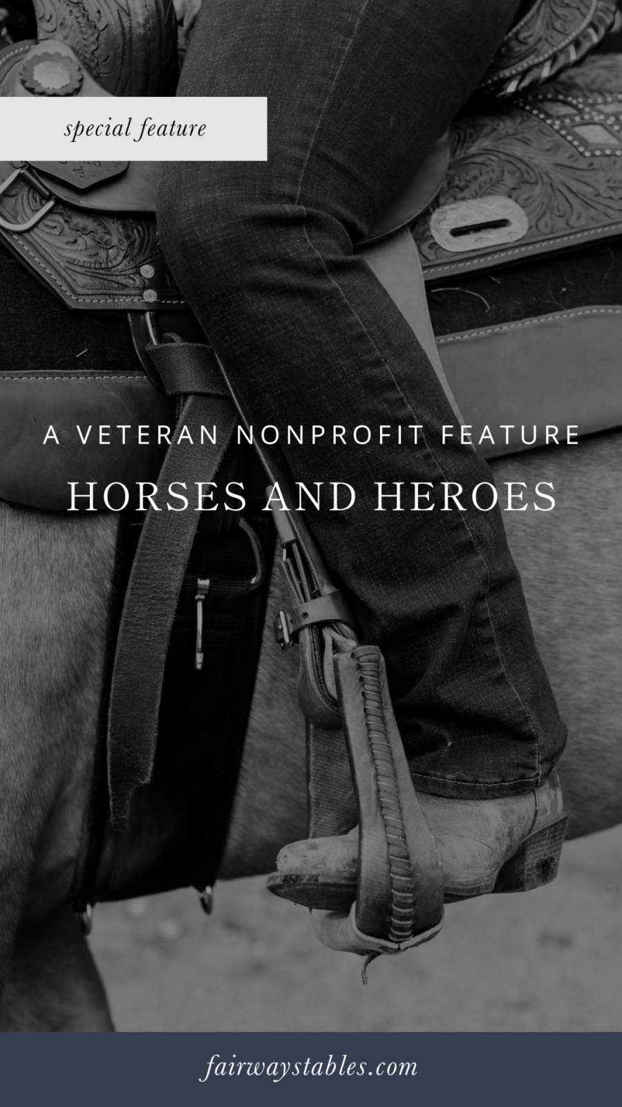 Heroes and Horses: Healing Veterans Through Horsemanship ...