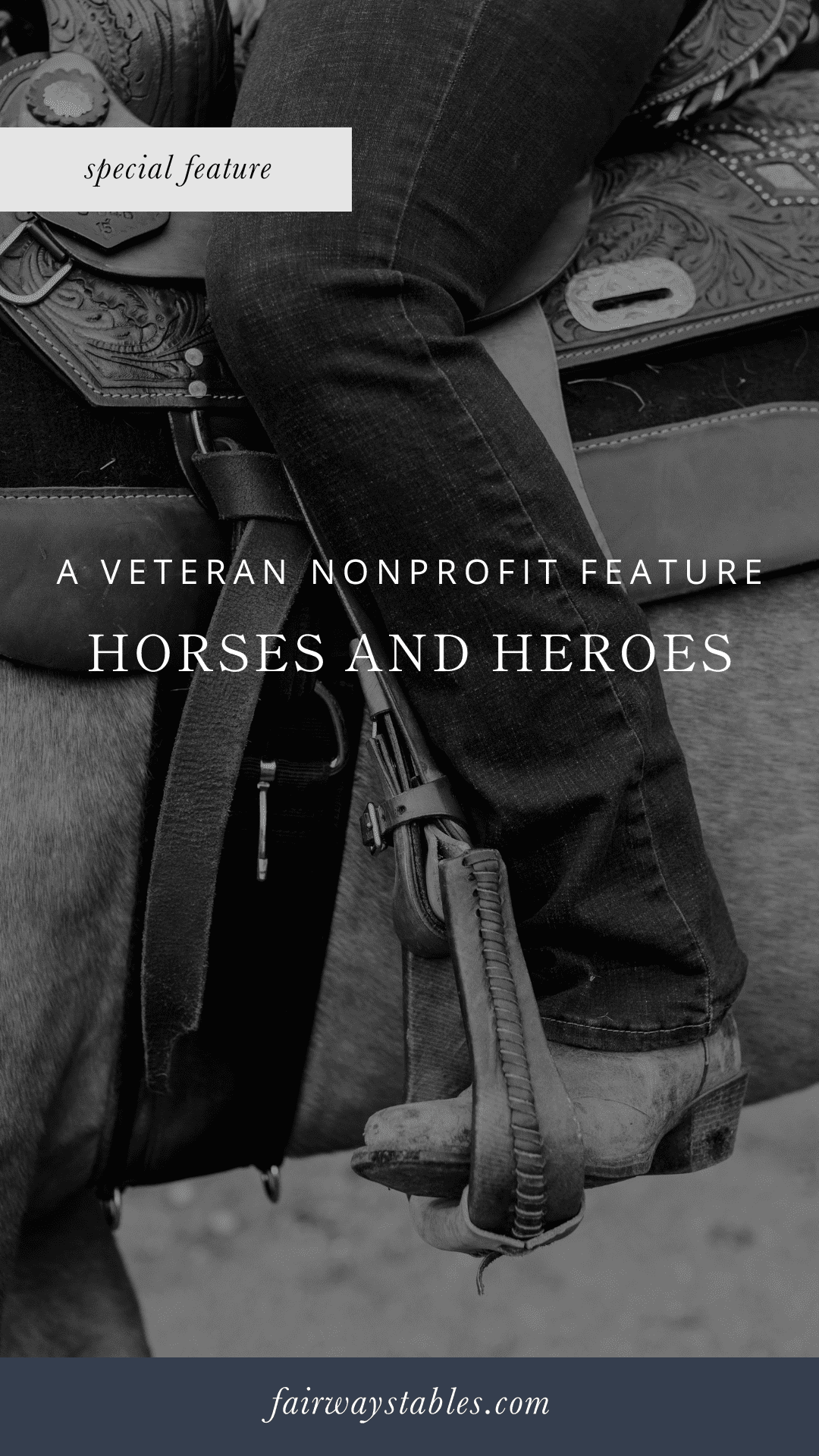 Heroes and Horses: Healing Veterans Through Horsemanship