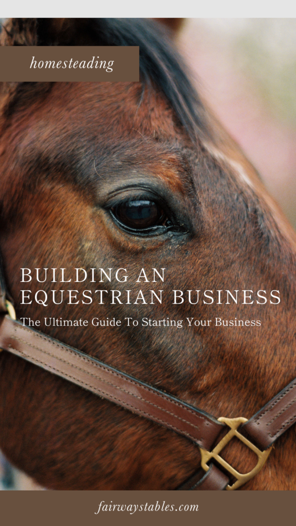 building an equestrian business