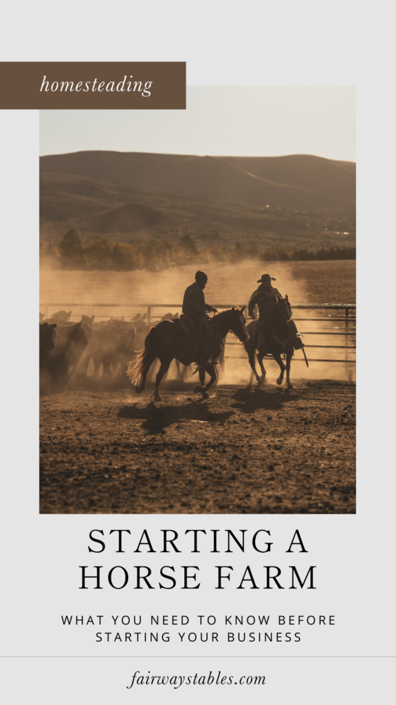 how to start a horse farm