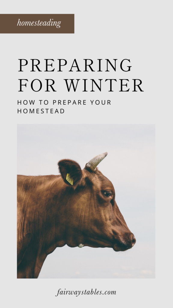 How to Prepare For Winter