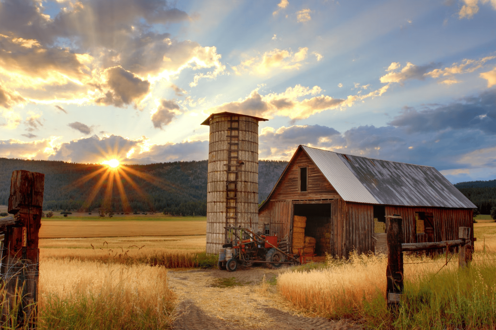 what do you need to start homesteading