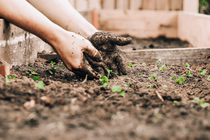 How to Grow a Garden Year-Round for Your Homestead